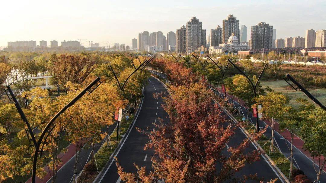 十字水街田字绿廊奉贤区百公里超长绿道游玩健身好去处爱申活暖心春