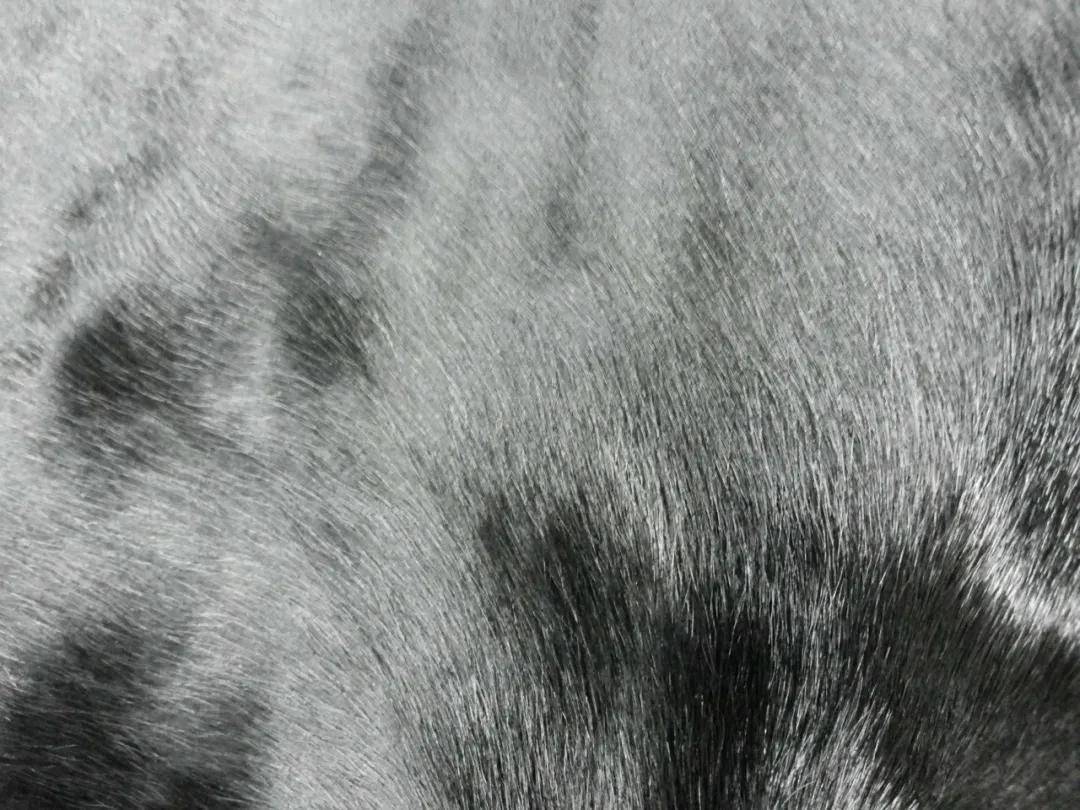 牛年细说牛毛纹