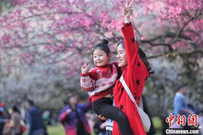 杭州：春节假期 西湖西溪景区游人如织