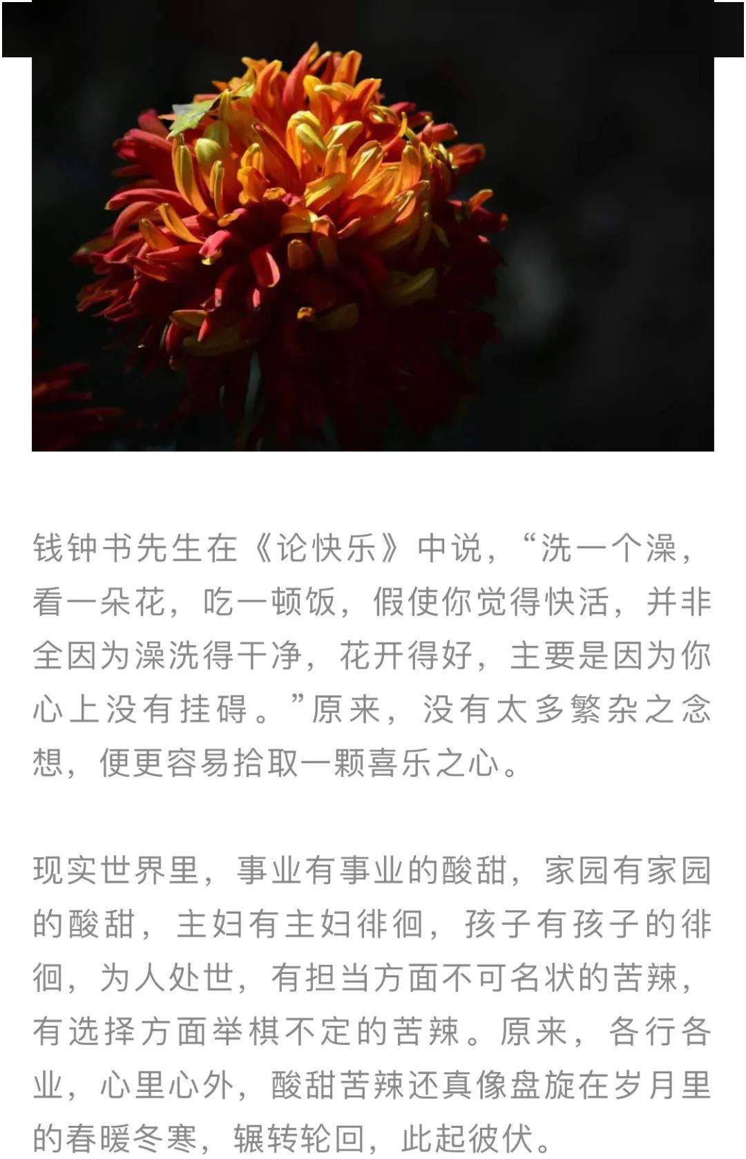 酸甜苦辣简谱_酸甜苦辣都是歌简谱(2)