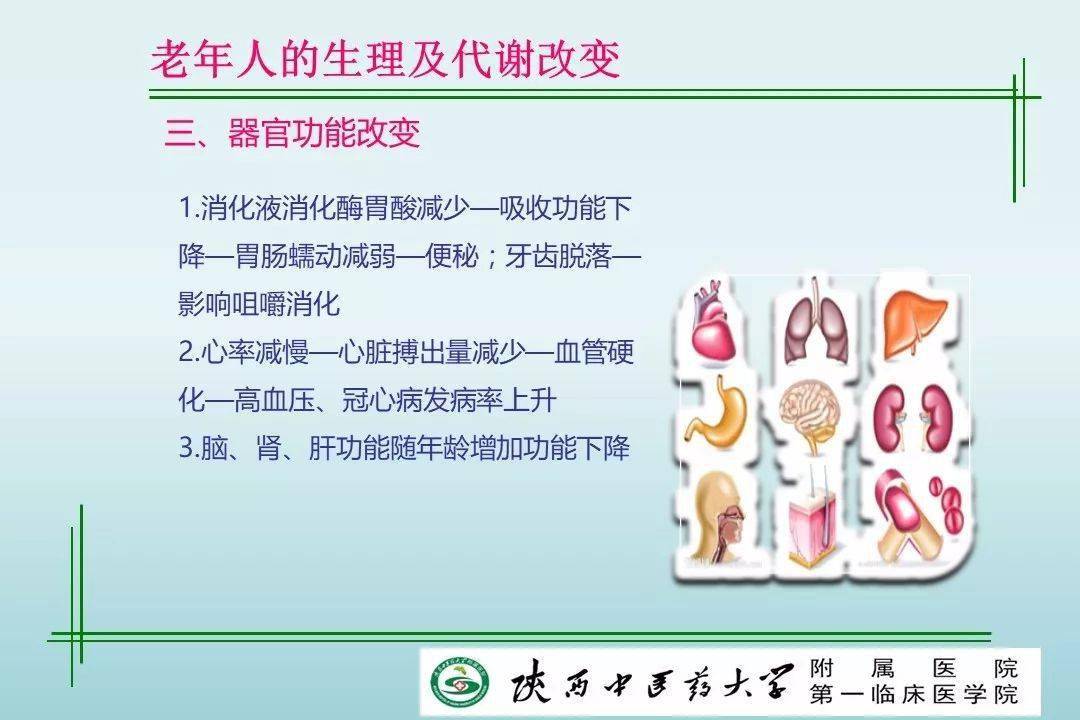 ccb4db060d2d44ef860e9b907c1fb749.jpeg