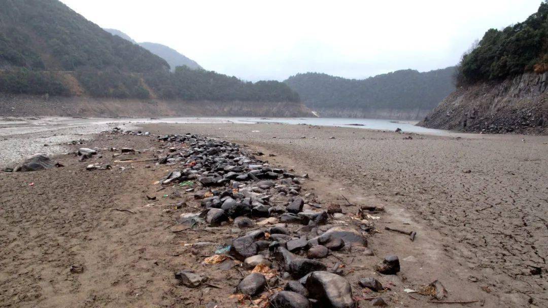 四明山皎口水库罕见低水位期自然观察