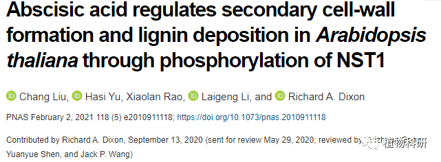 pnas李来庚揭示脱落酸通过磷酸化nst1调节拟南芥次生细胞壁的形成机制