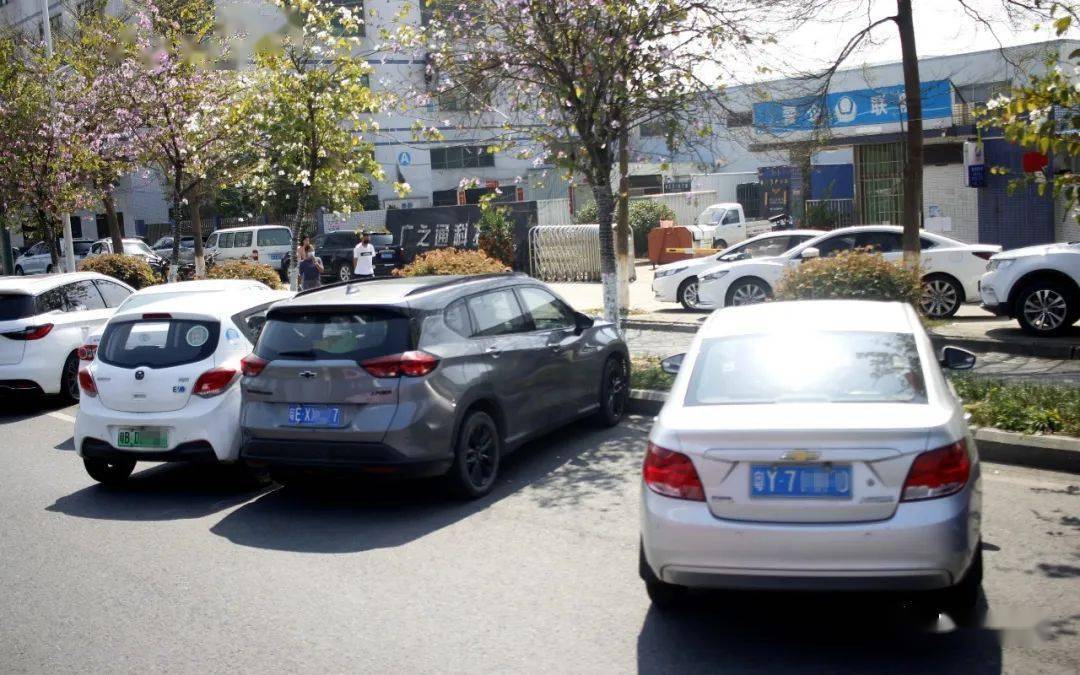 出入口调整:开放逢简新入村大道入口和槎洲停车场入口,其余入口暂不对