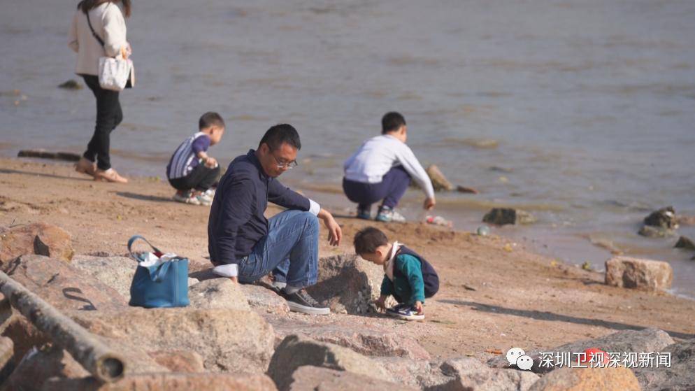 據瞭解,深圳河灣流域陸域面積約為596平方公里,其中深圳側約為340平方