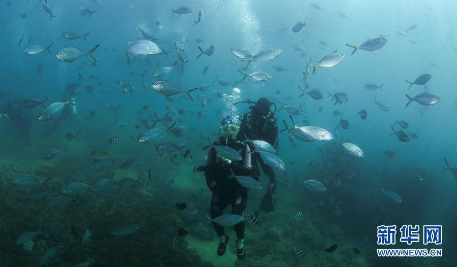 海南三亚：潜水享假期