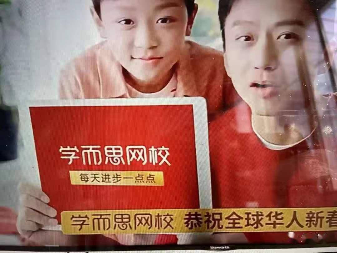 学而思网校最初的平面广告只有几个大字"网校就上学而思",后来又强调