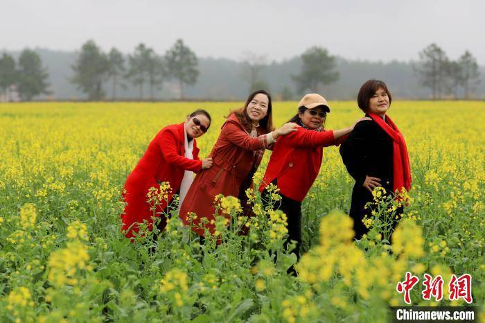 航拍江西吉水千亩油菜花盛开 吸引游客踏春来