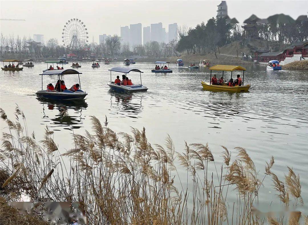 就地过年，家门口也精彩！这些地方成市民热门打卡地