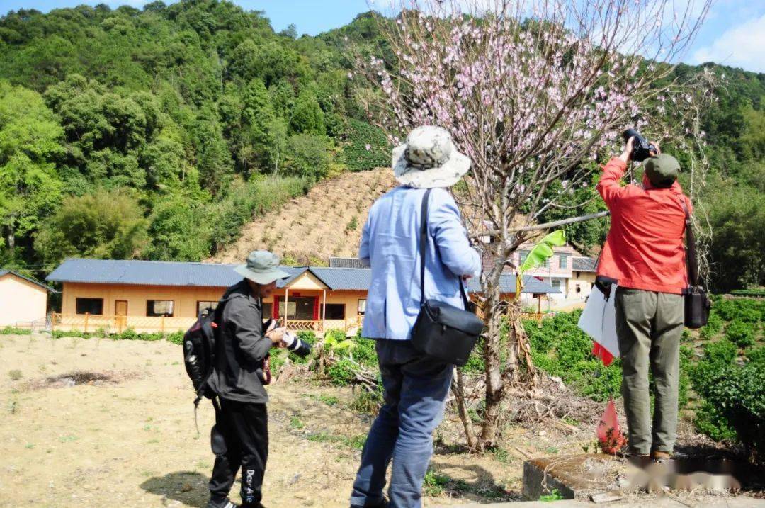 昭平乡村美景魅力大看看文竹的这个靓村