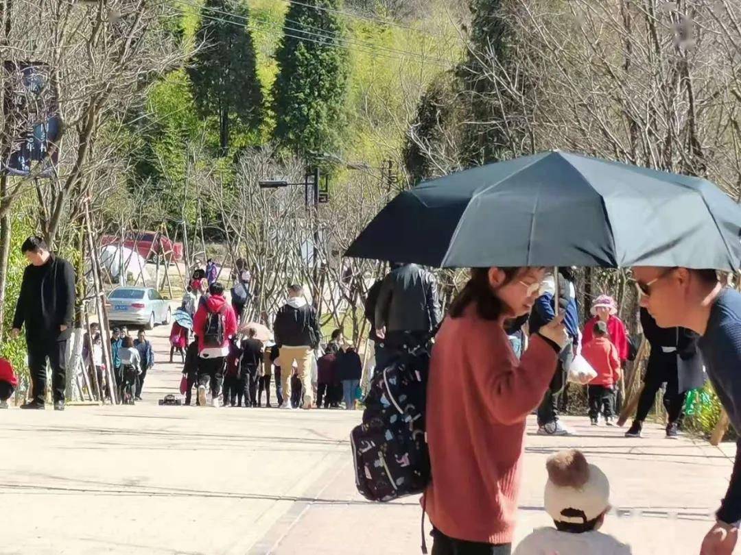 日均游客超2000人次，光崀大村成为市民春节假期乡村游首选