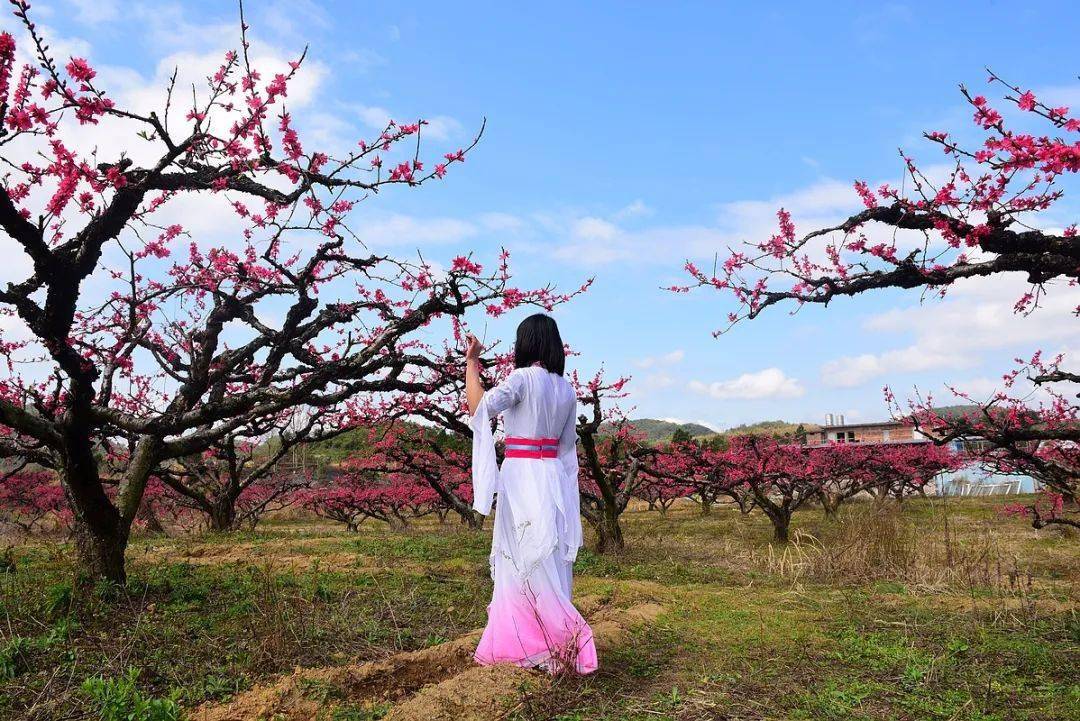 美女相约游山玩水竟意外闯入一处繁华盛开的世外桃源