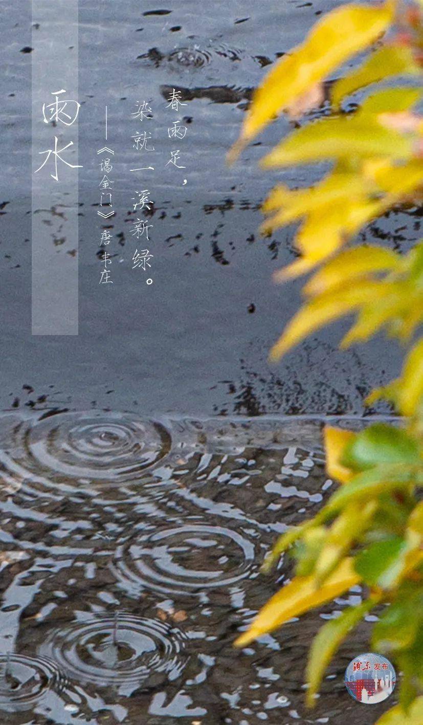 雨水雨润大地万物苏