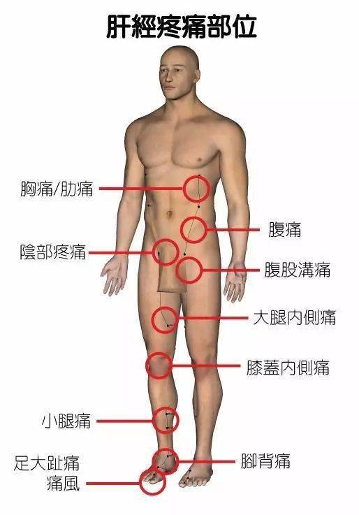 胳膊经络疼痛怎么办