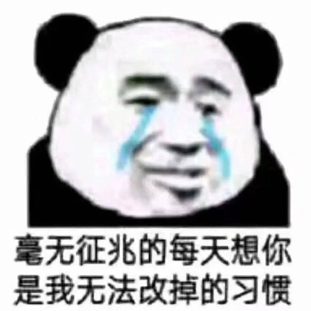e883c957d63044a5ac4415687dc35359.jpeg