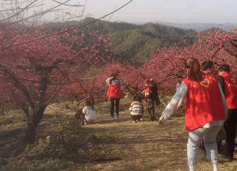 信丰崇仙人口_信丰仙济岩景区图片