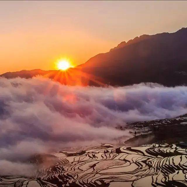 22837号行走在山和云的彼端元阳梯田建水古城碧色寨普者黑罗平油菜花
