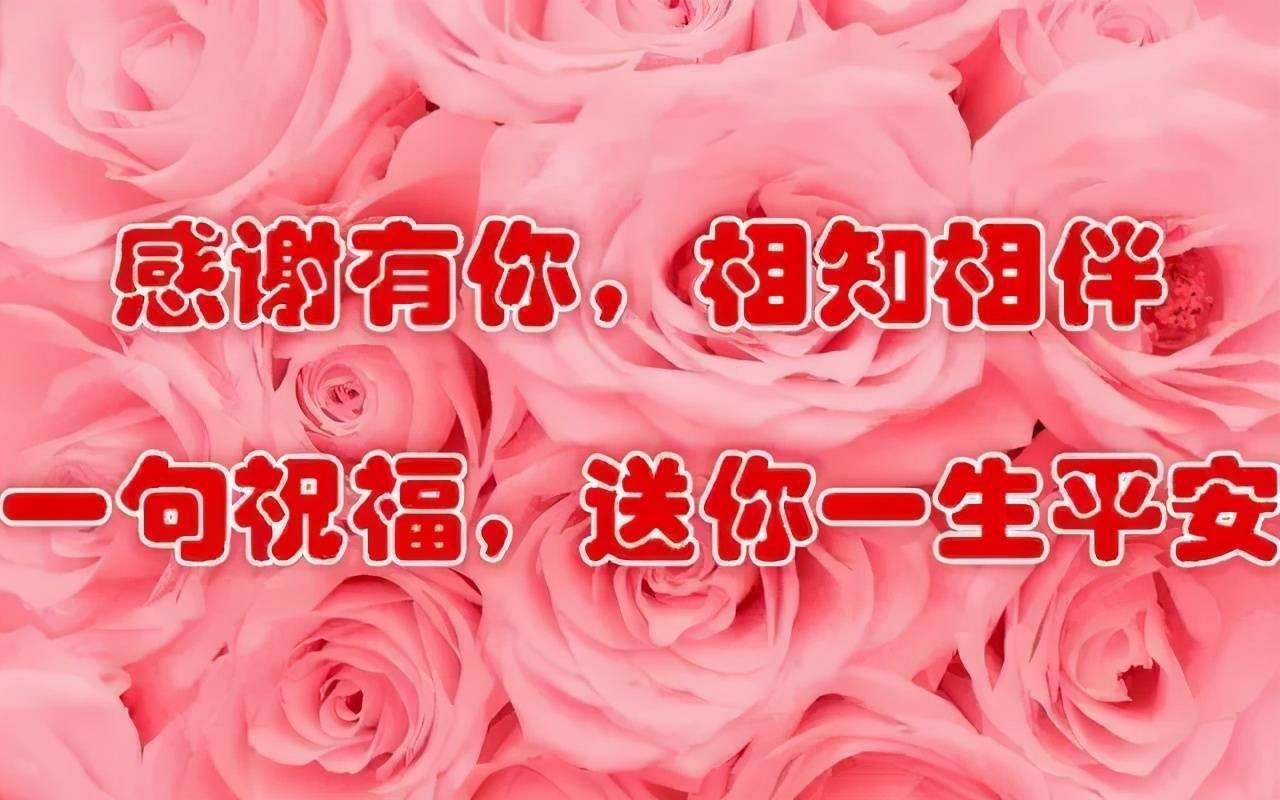 走错了路要记得回头爱错了人要懂得放手早安