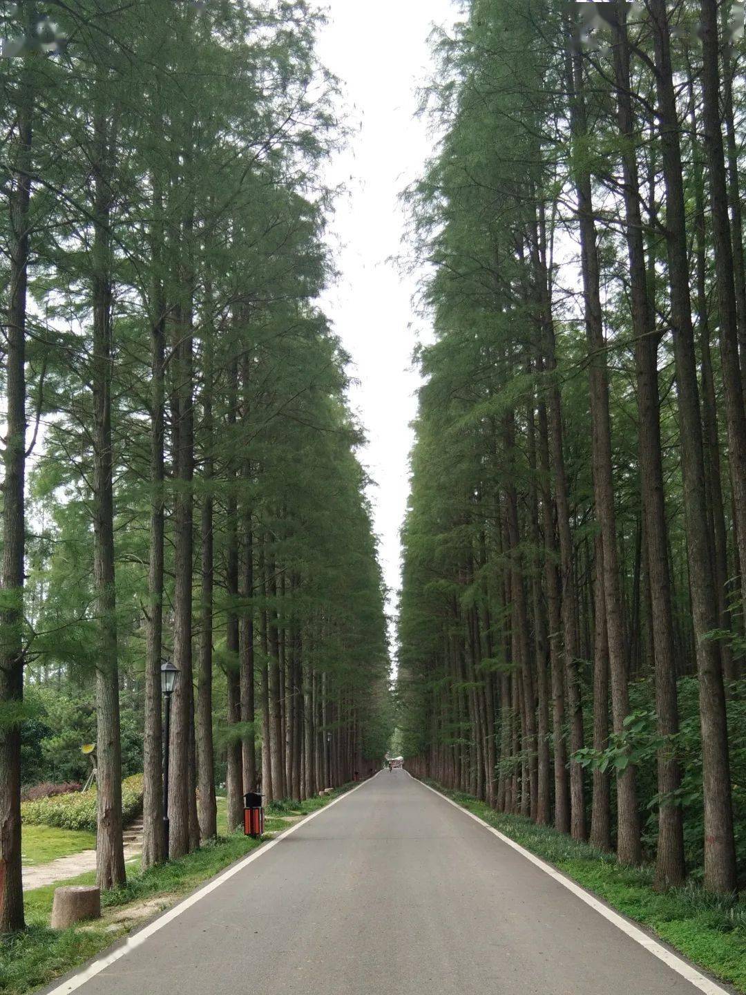 浚縣大伾山浚縣古城牆淇縣雲夢山淇縣古靈山嵖岈山,又名玲瓏山,西遊