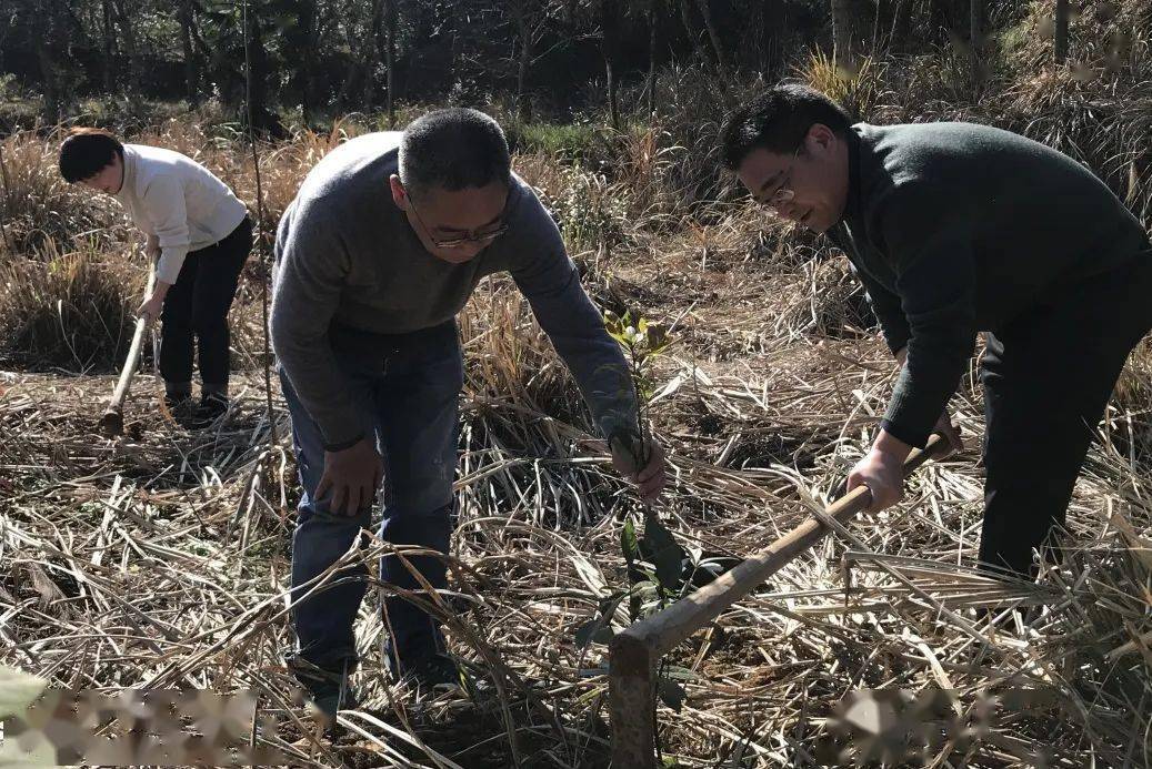 甘當艱苦奮鬥老黃牛做老黃牛保持艱苦奮鬥底色發言稿