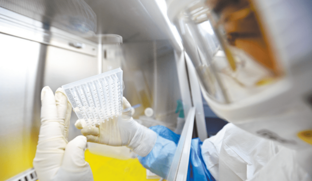 2020光谷GDP_权威发布丨2020年中国木门行业发展报告(3)