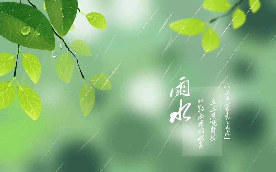 春雨电脑壁纸图片