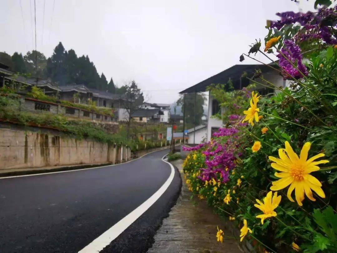 达川区:百节镇肖家村,安仁乡米坊村,万家镇五洞村,赵家镇桂花村万源市