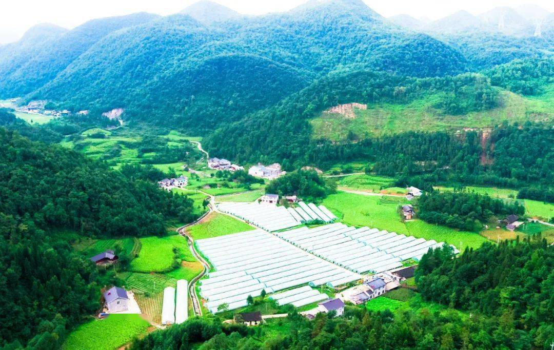 凝心聚力抓发展创先争优谱新篇