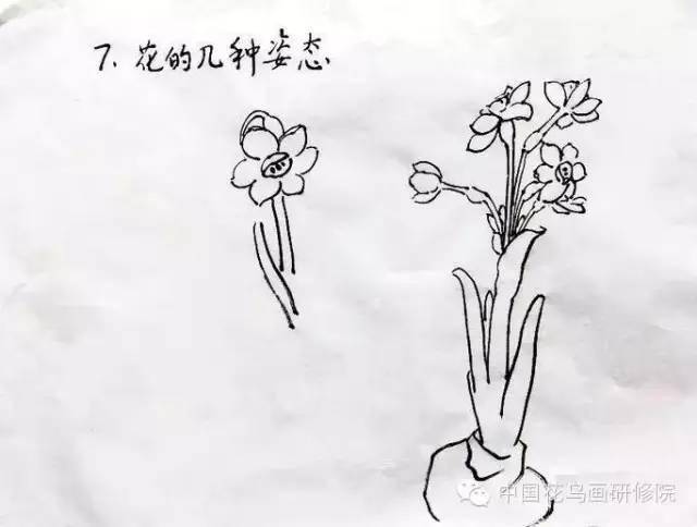 写意水仙花的画法好学实用内附视频