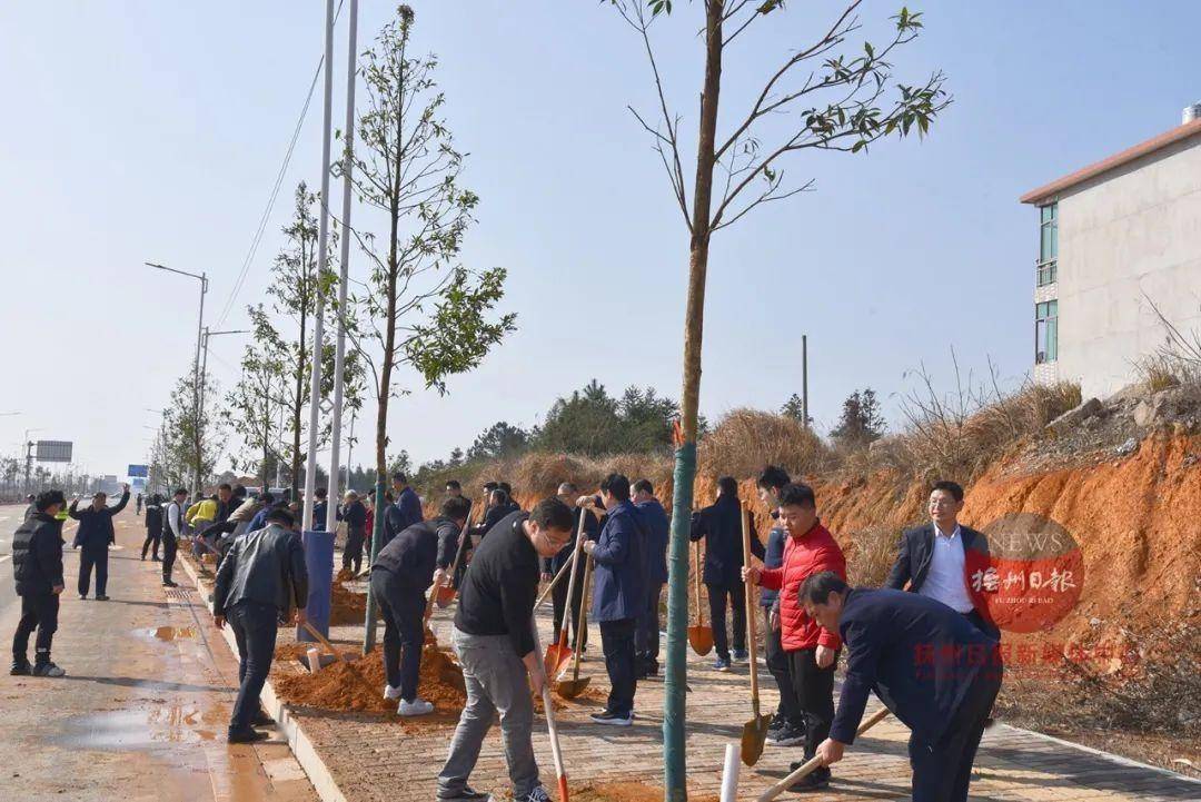 新年开工日,跟着书记市长种树去!