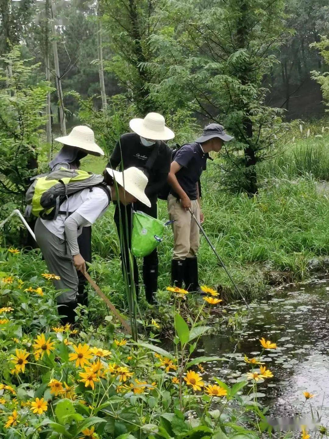 北京生物图鉴:自然界的人口普查