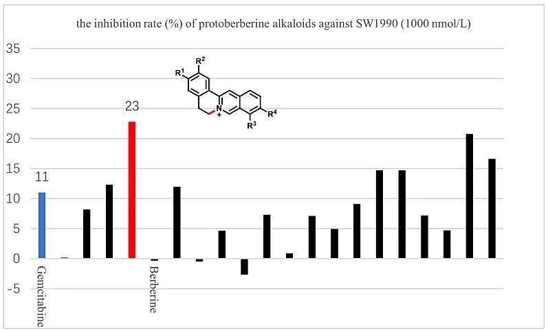 原小檗鹼和兩面針鹼類生物鹼及其衍生物對人胰腺癌sw1990細胞抑制
