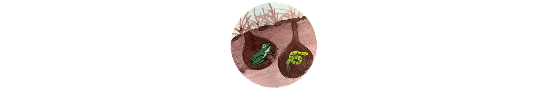 观测|物候记·立春｜春回万物生