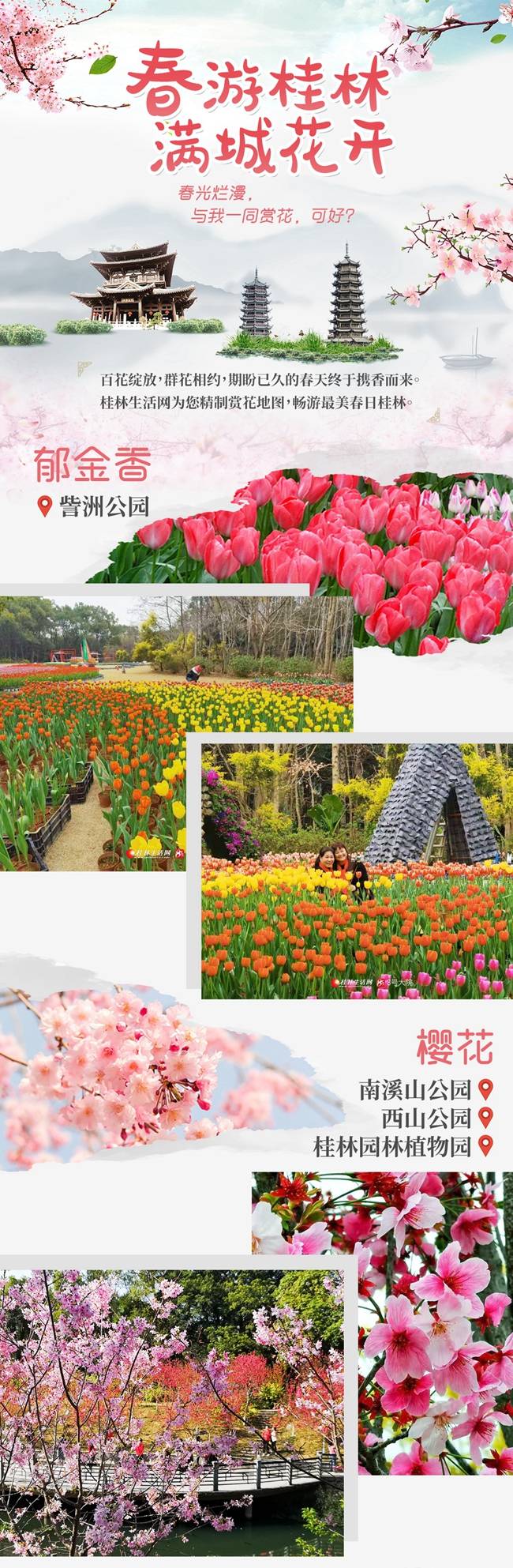 一年中最美时候来了！桂林市区最全赏花地图出炉，你最想去哪里？