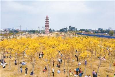 北海春节迎客105.8万人次 恢复至2019年同期水平的七成多