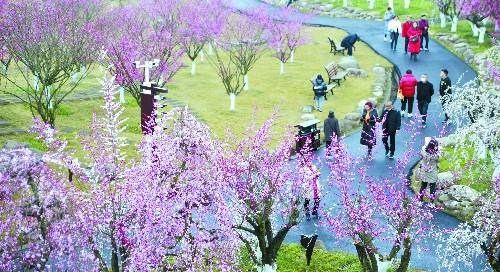 成都成春节景区旅游热点城市