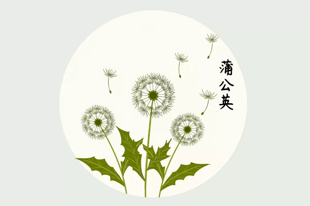 养痈什么成语_痈是什么样子图片(2)