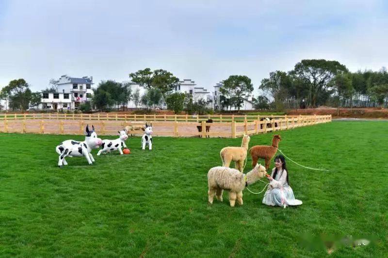 媒体看横峰阳光牧场偷得浮生半日闲