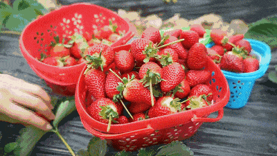 460f107f33e14f558c9e6a9a0b198479.gif
