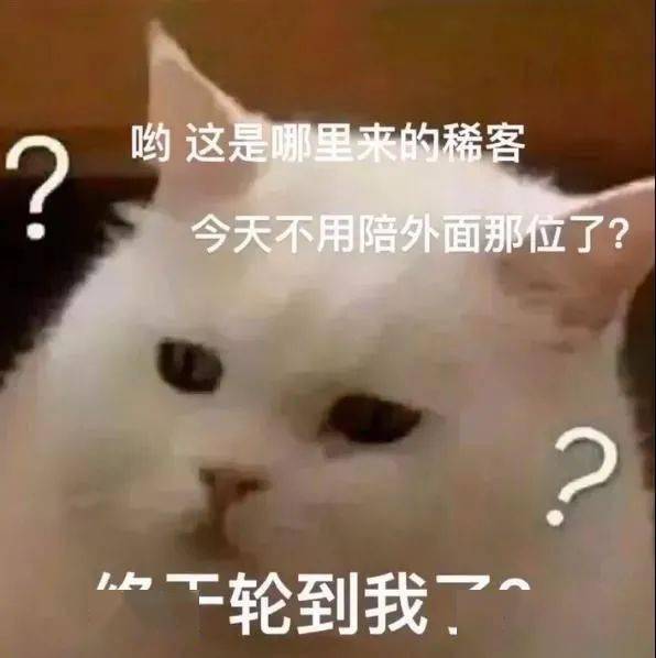 6411eee7b90d4c099abe5640b69ba3a7.jpeg