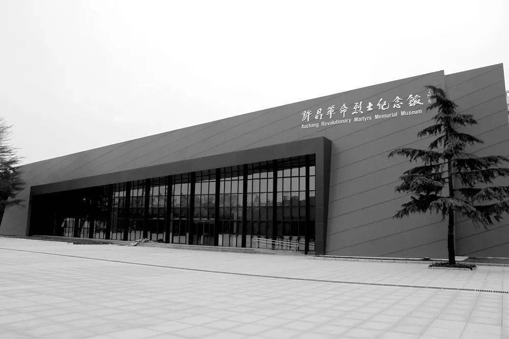 我长大想来这里当兵烈士杨树朋家人来到杨根思连过年