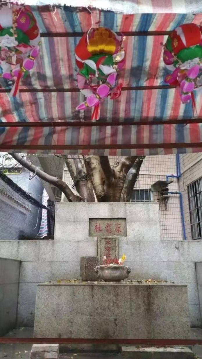正月初十是丁日,喜添丁的珠村村民要挂添丁灯!_挂灯