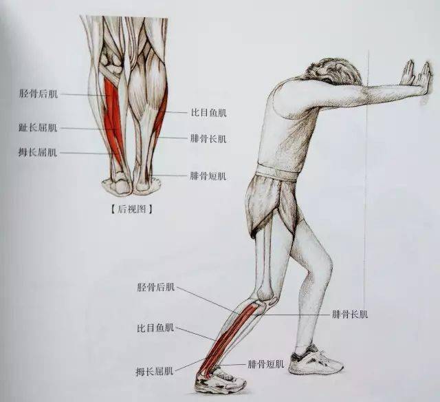 经典21点平台