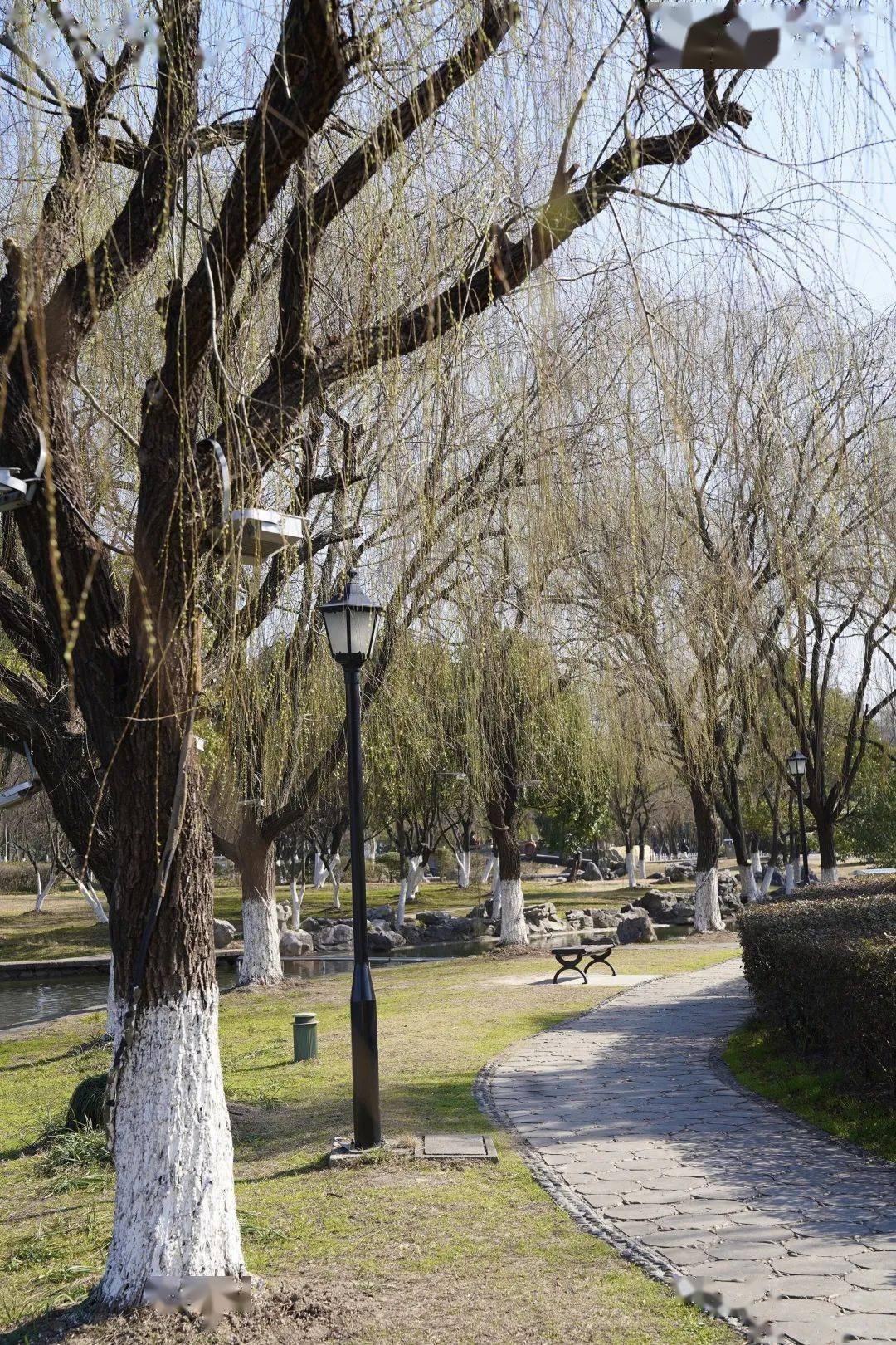 附赏花指南→_桐乡