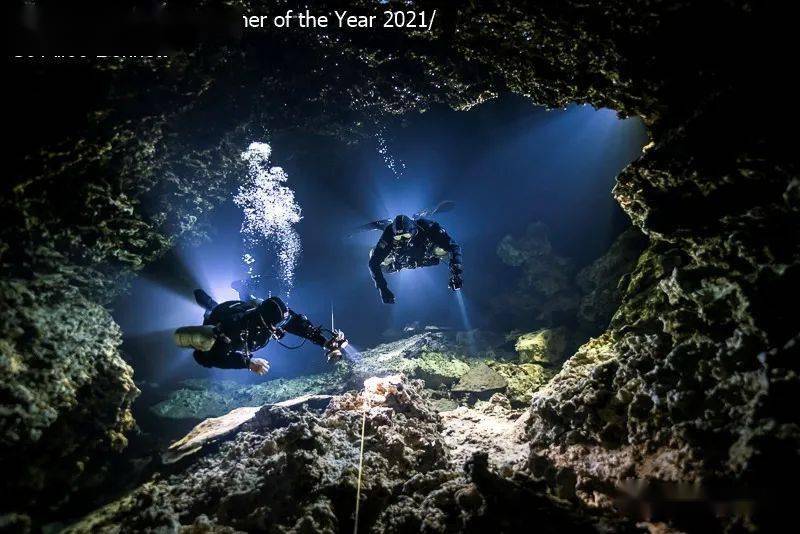 UPY 2021 年度水下摄影师比赛结果新鲜出炉！