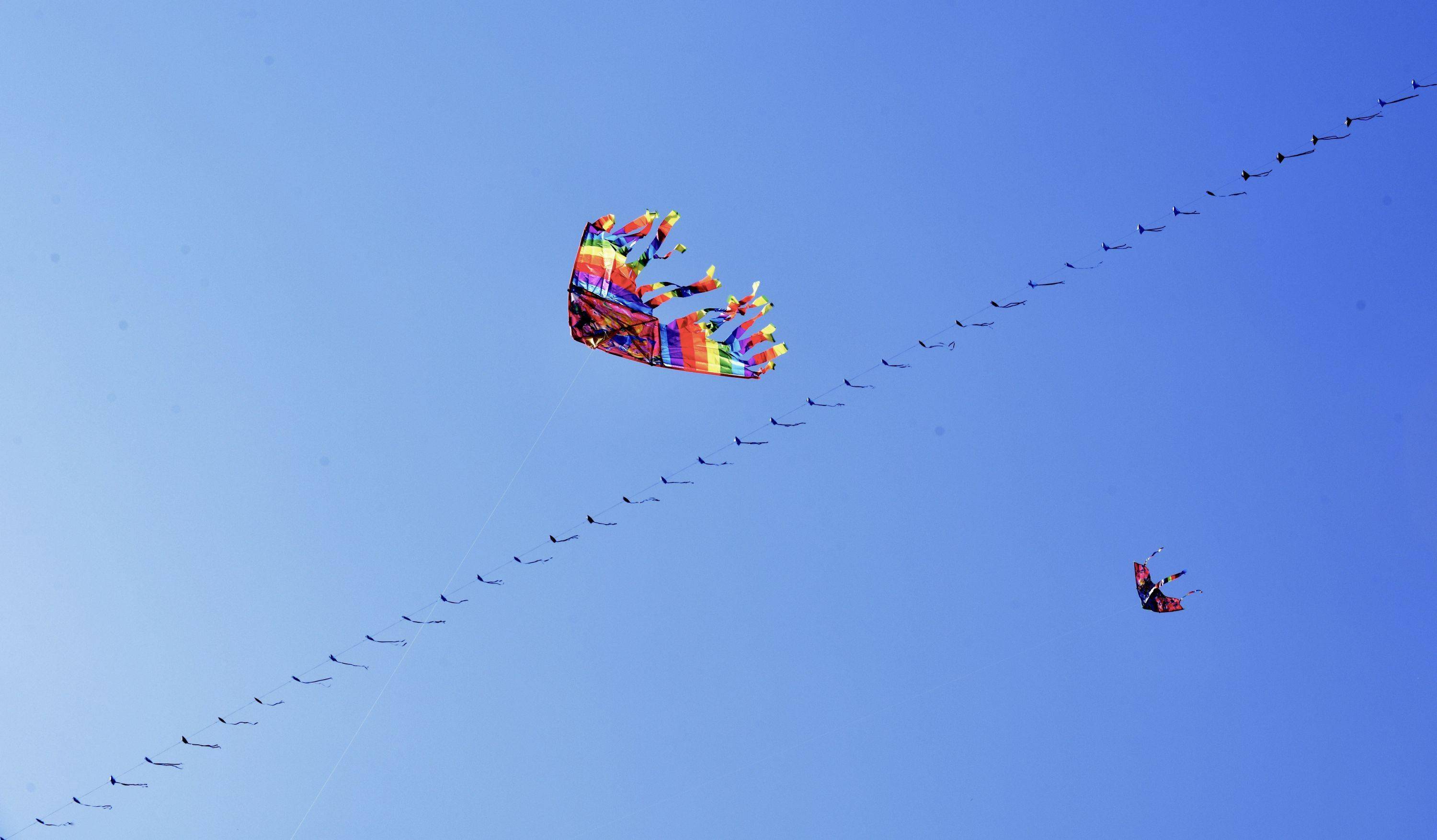 青山江滩,春意浓,觅春光|城市摄影队_风筝