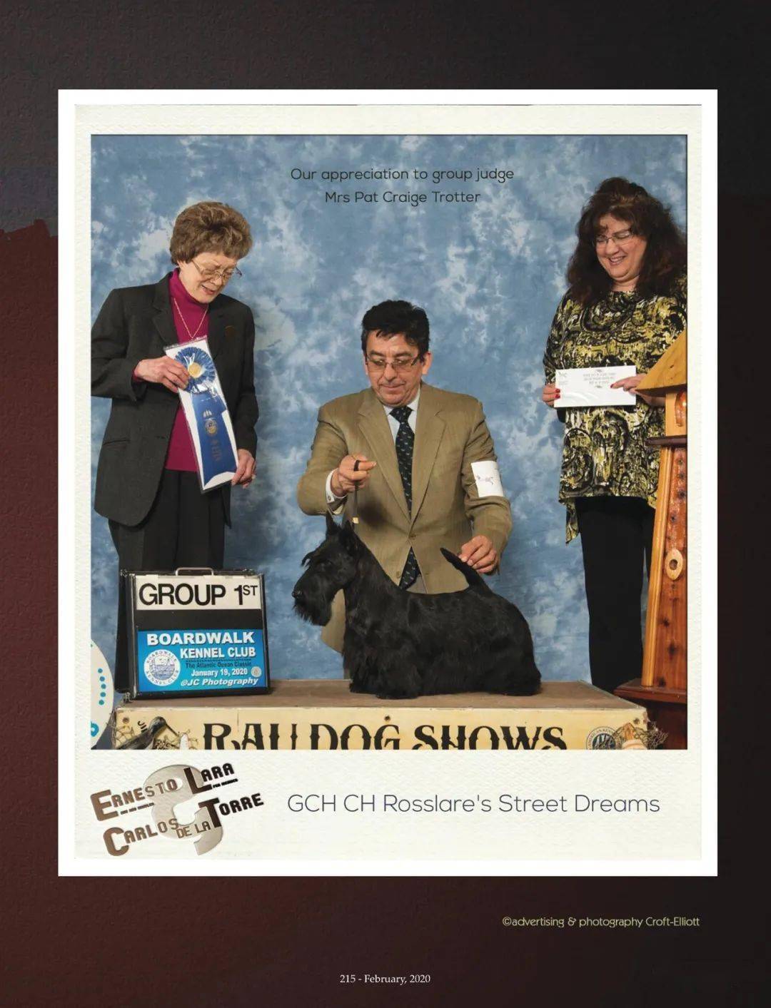 2020年度美国akc苏格兰梗排行榜top10