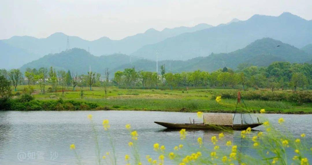 3月4号建德下崖村油菜花海值得一看