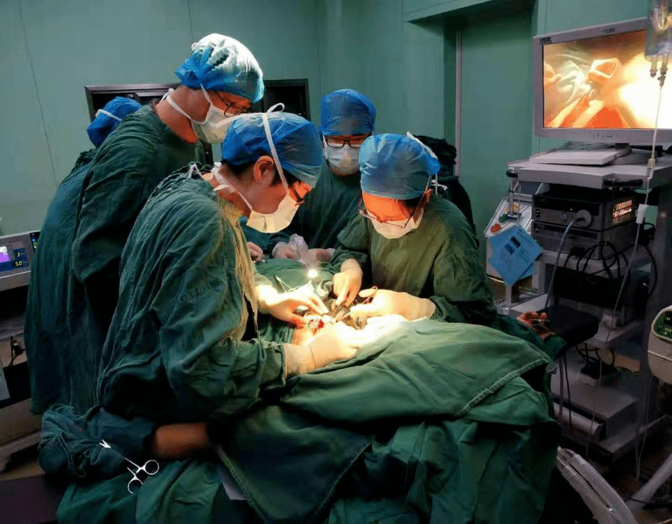 甲乳外科首例拆东墙补西墙手术成功修复乳癌术后巨大创面