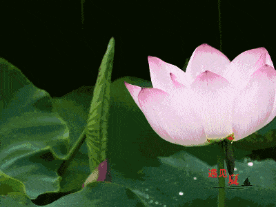 400_300gif 动态图 动图